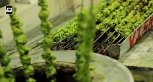 Kolkata Catering Menu Cost