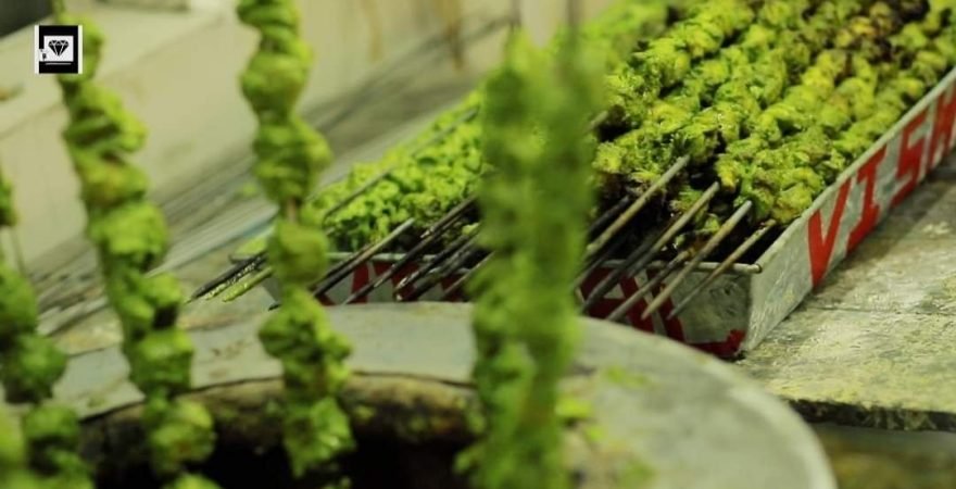 Kolkata Catering Menu Cost